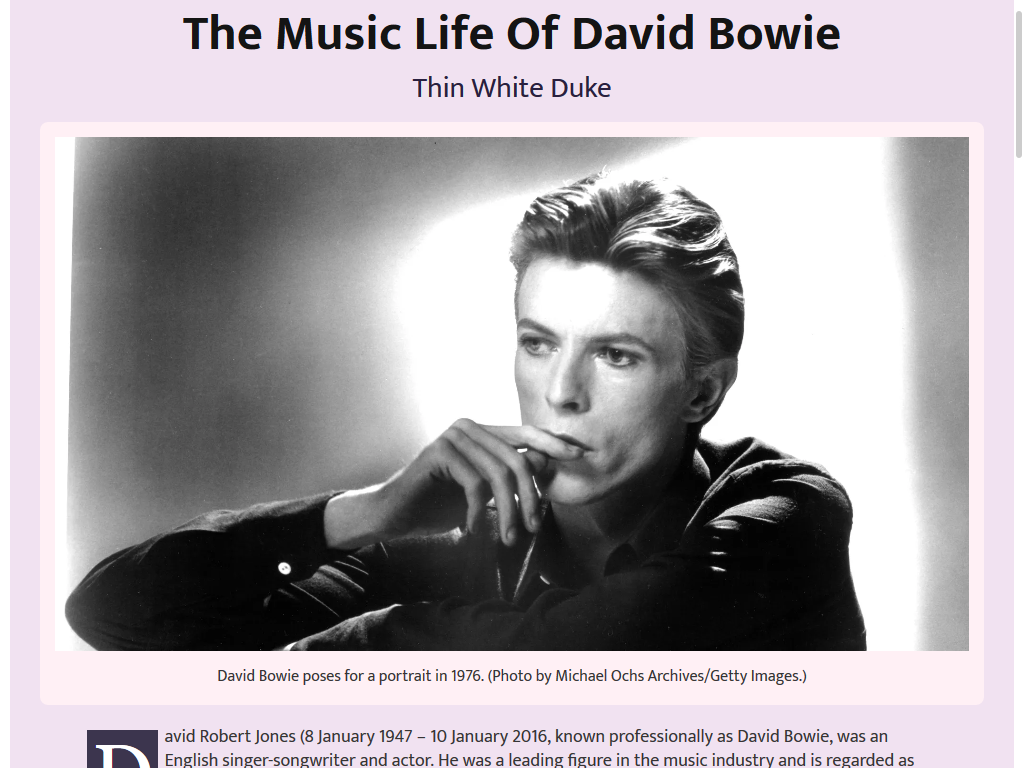 A image of David Bowie tribute page