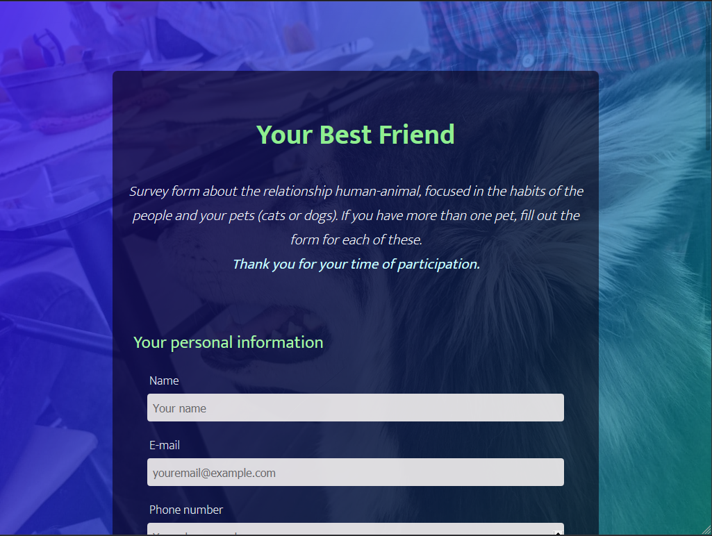 A image of a Survey form Webpage